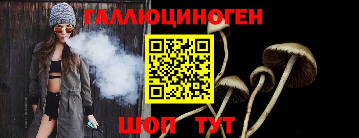 Галлюциногенные грибы мицелий Донецк